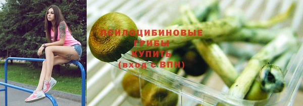 гидропоника Нея