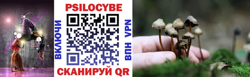 наркошоп  мега рабочий сайт  Псилоцибиновые грибы прущие грибы  Курск 