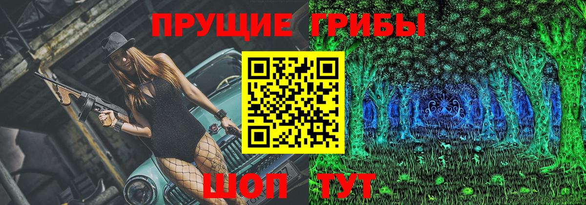 Галлюциногенные грибы Psilocybine cubensis Курск