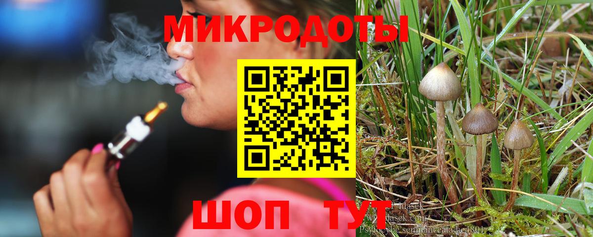 Курск  Галлюциногенные грибы прущие грибы  Вход с VPN 
